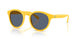 542087 - Yellow - Grey Blue
