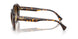 500313 - Brown - Gradient Brown