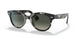 133371 - Havana - Grey Gradient Dark Grey