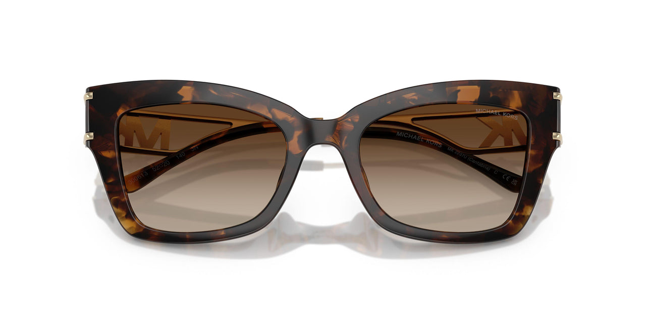 300613 - Tortoise - Brown Gradient