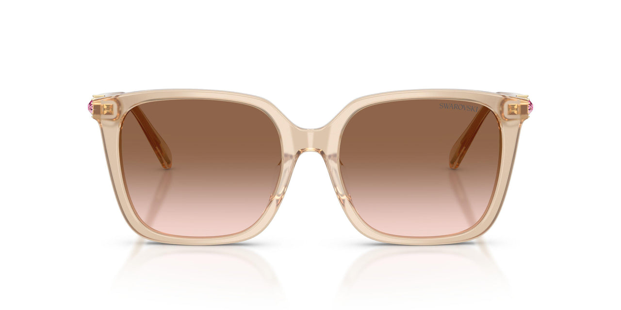103413 - Beige - Gradient Brown