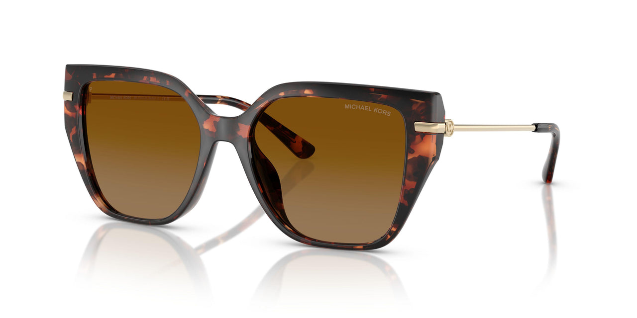 40319P - Tortoise - Brown Polar