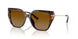 40319P - Tortoise - Brown Polar