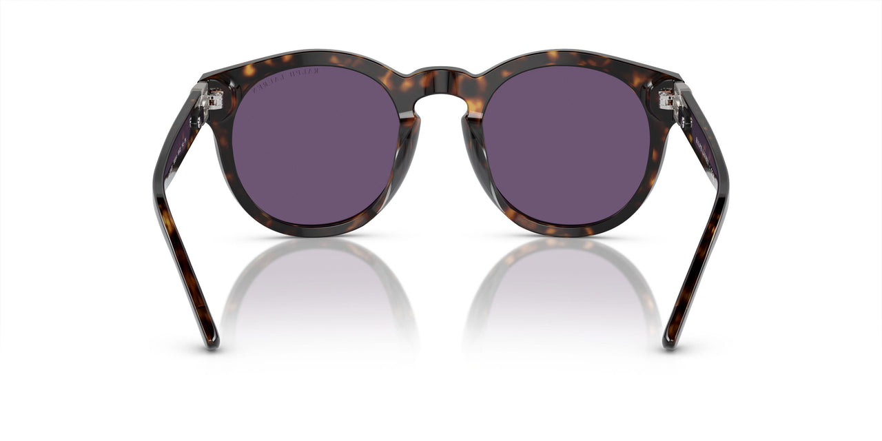 50031A - Tortoise - Purple