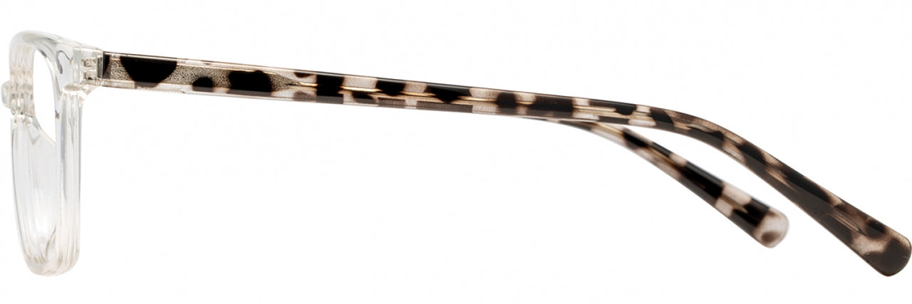 1 - Crystal / Black Tortoise