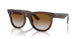 6709CB - Brown - Brown