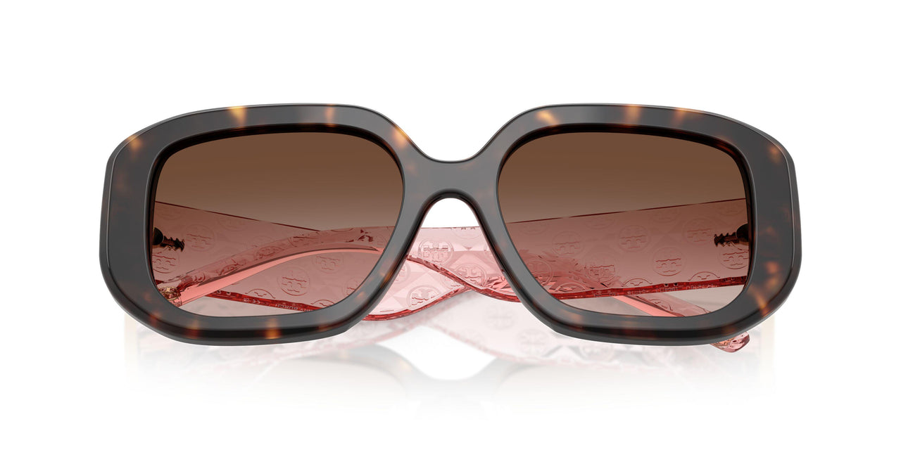 196413 - Tortoise - Gradient Brown