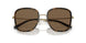 336373 - Tortoise - Brown Gradient