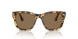 1056GI - Tortoise - Transitions 8 Brown