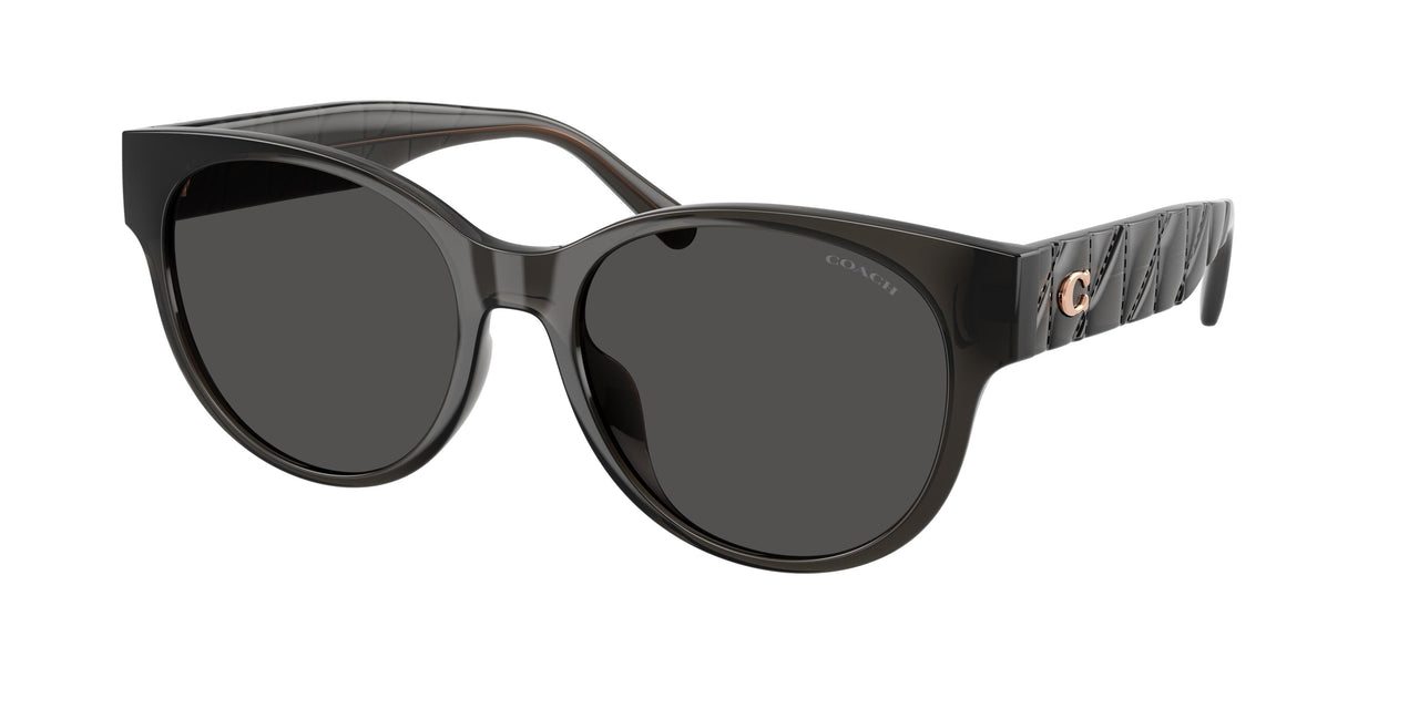 Coach Cae87 8430D Sunglasses