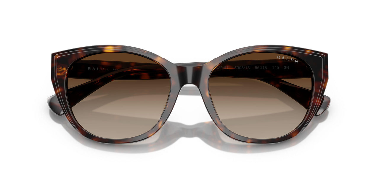 500313 - Tortoise - Gradient Brown
