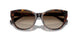 500313 - Tortoise - Gradient Brown