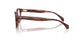 3034 - Tortoise