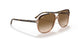 129251 - Havana - Clear Gradient Brown