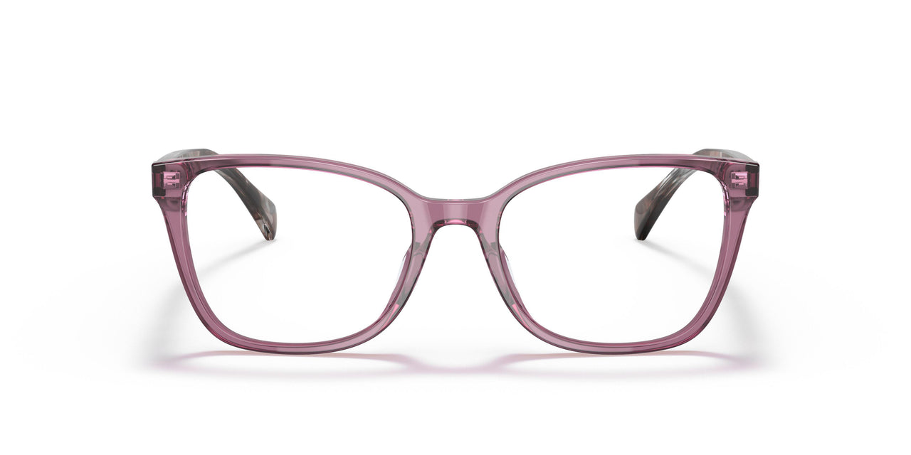 6008 - Violet