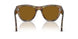 108/33 - Tortoise - Brown