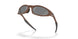 953906 - Brown - Prizm Black