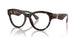 3002 - Brown