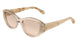 Salvatore Ferragamo SF2104S Sunglasses