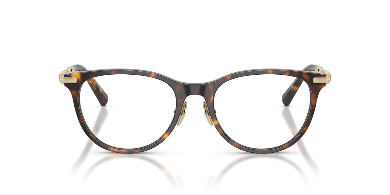 8015 - Tortoise