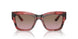 308914 - Red - Violet Gradient Brown