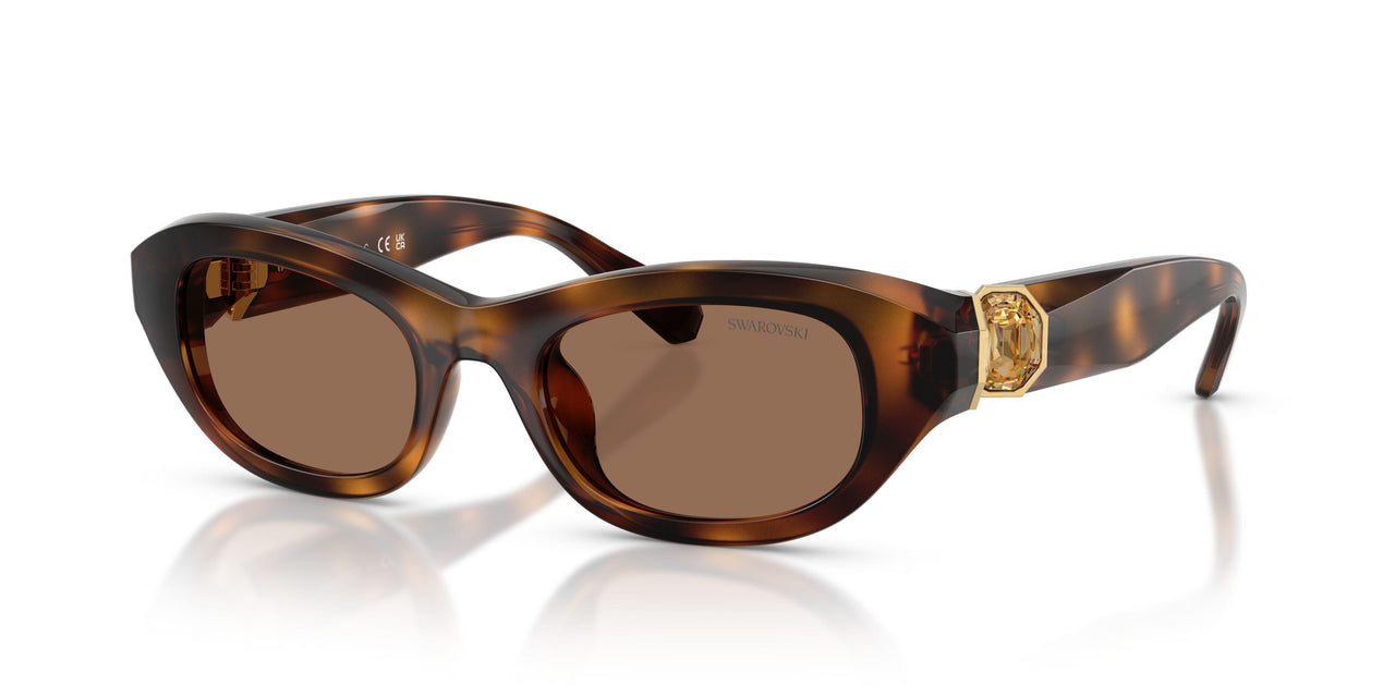 100273 - Tortoise - Dark Brown