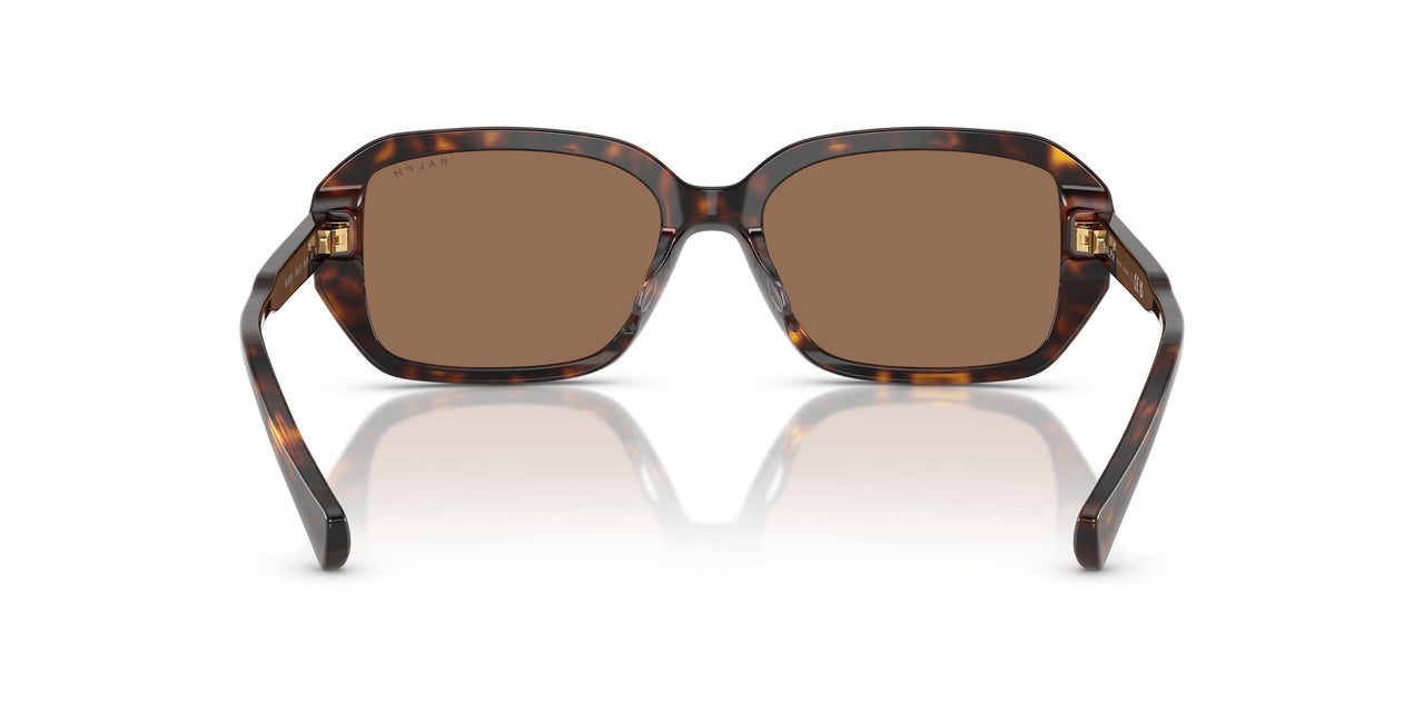 500373 - Tortoise - Brown