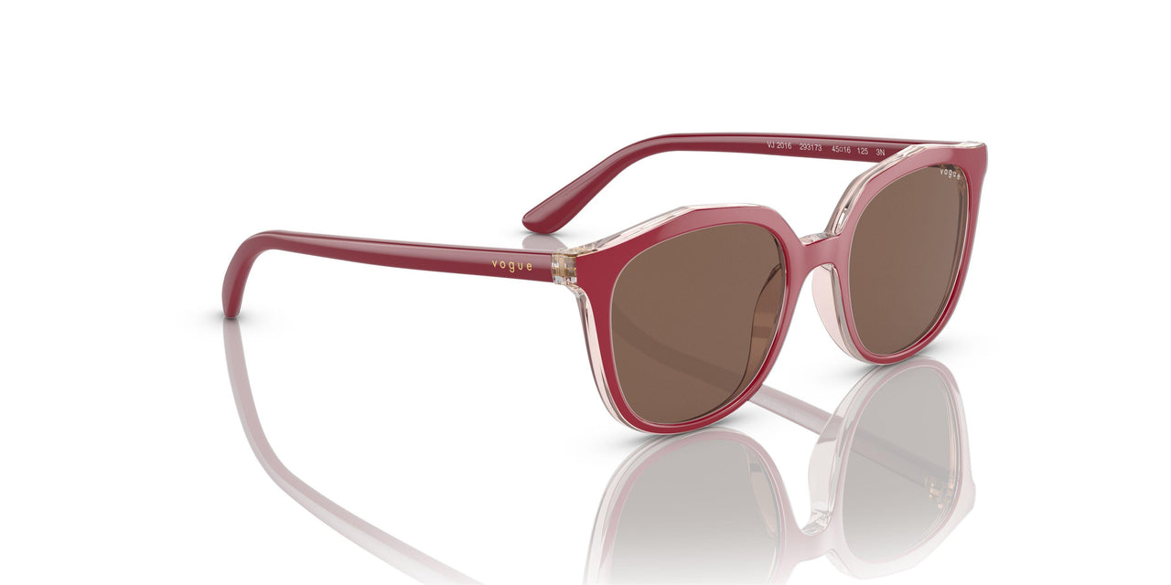 293173 - Pink - Dark Brown
