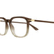 005 - Brown - Transparent