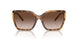 199213 - Tortoise - Light Brown Gradient
