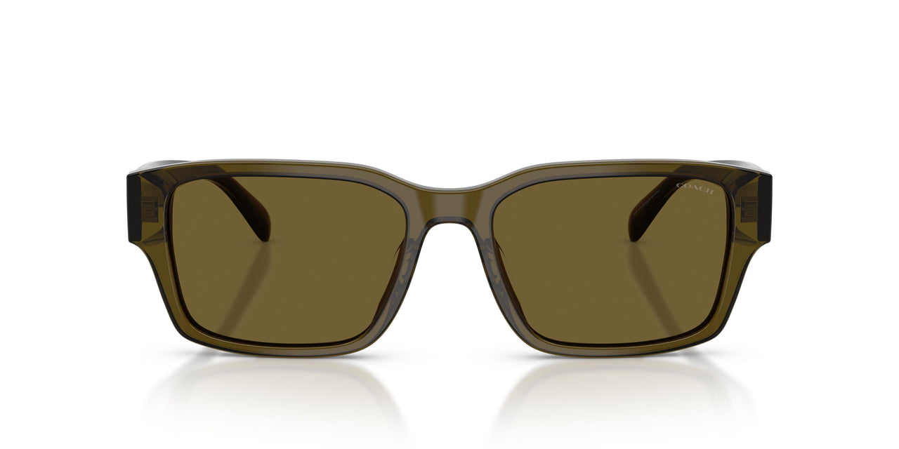 591073 - Green - Green Solid