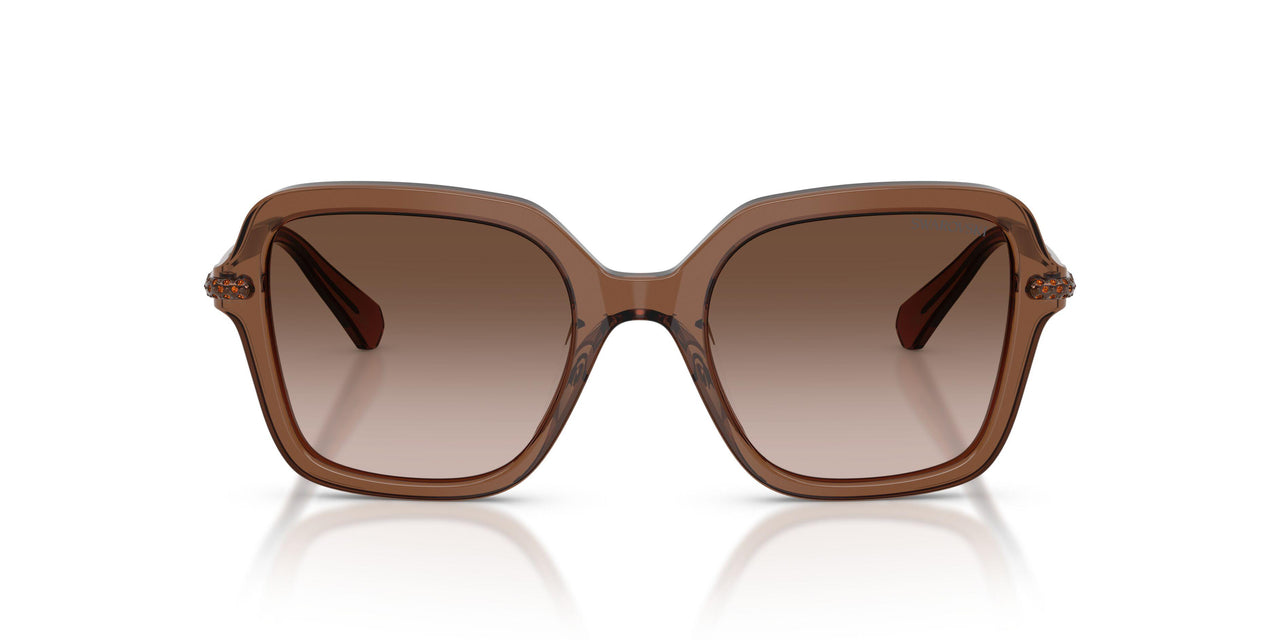 106713 - Brown - Brown Gradient