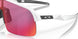 946302 - White - Prizm Road
