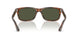 108/31 - Tortoise - Green
