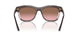 313614 - Brown - Pink Gradient Brown
