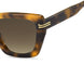 005L-HA - HAVANA - Brown Gradient