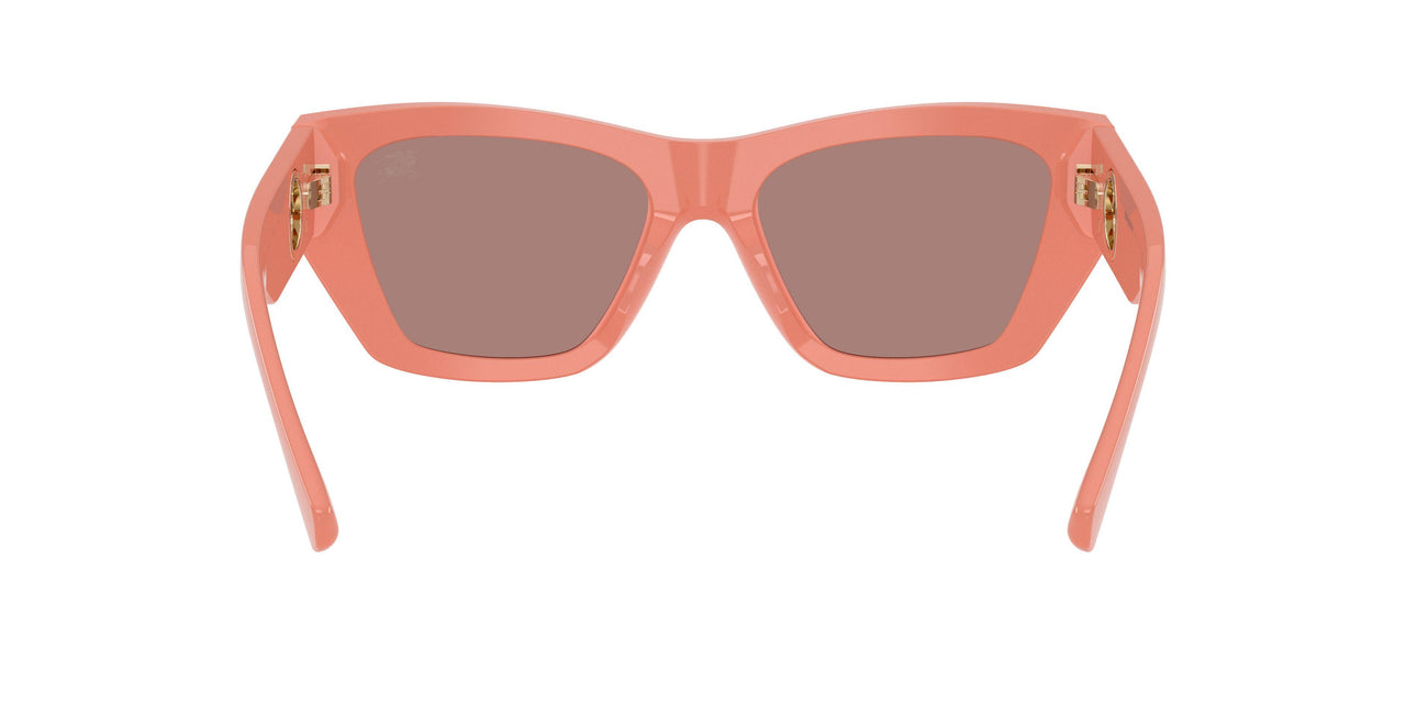 421973 - Pink - Light Brown