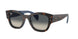 Ray-Ban Jorge 7681S Sunglasses