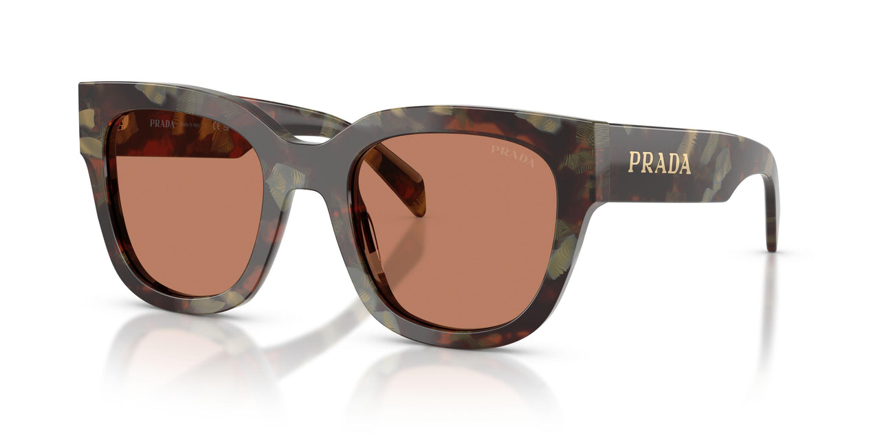 22F90Q - Tortoise - Brown