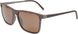 10 - Brown Stripe - Hcl Bronze