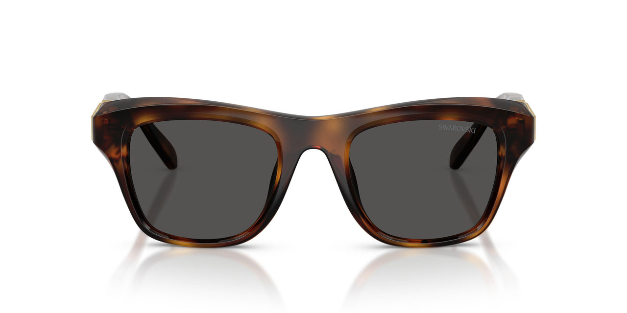 100287 - Tortoise - Dark Grey