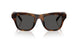 100287 - Tortoise - Dark Grey