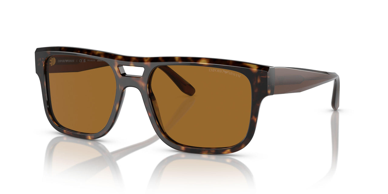587983 - Tortoise - Brown Polarized