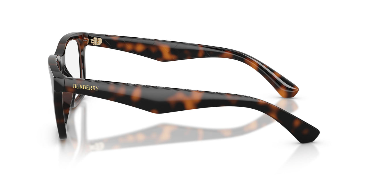 3002 - Brown
