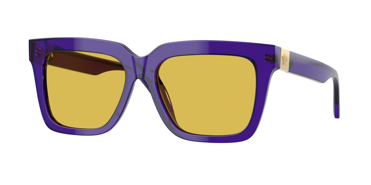 Versace 4498 Sunglasses
