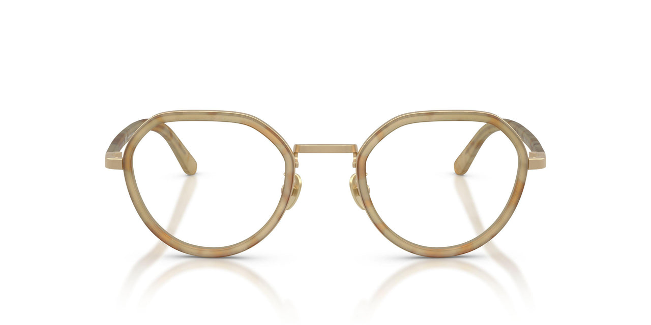 6300 - Tortoise