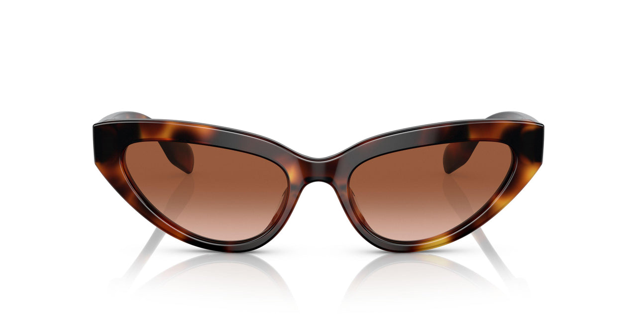 331613 - Havana - Brown Gradient