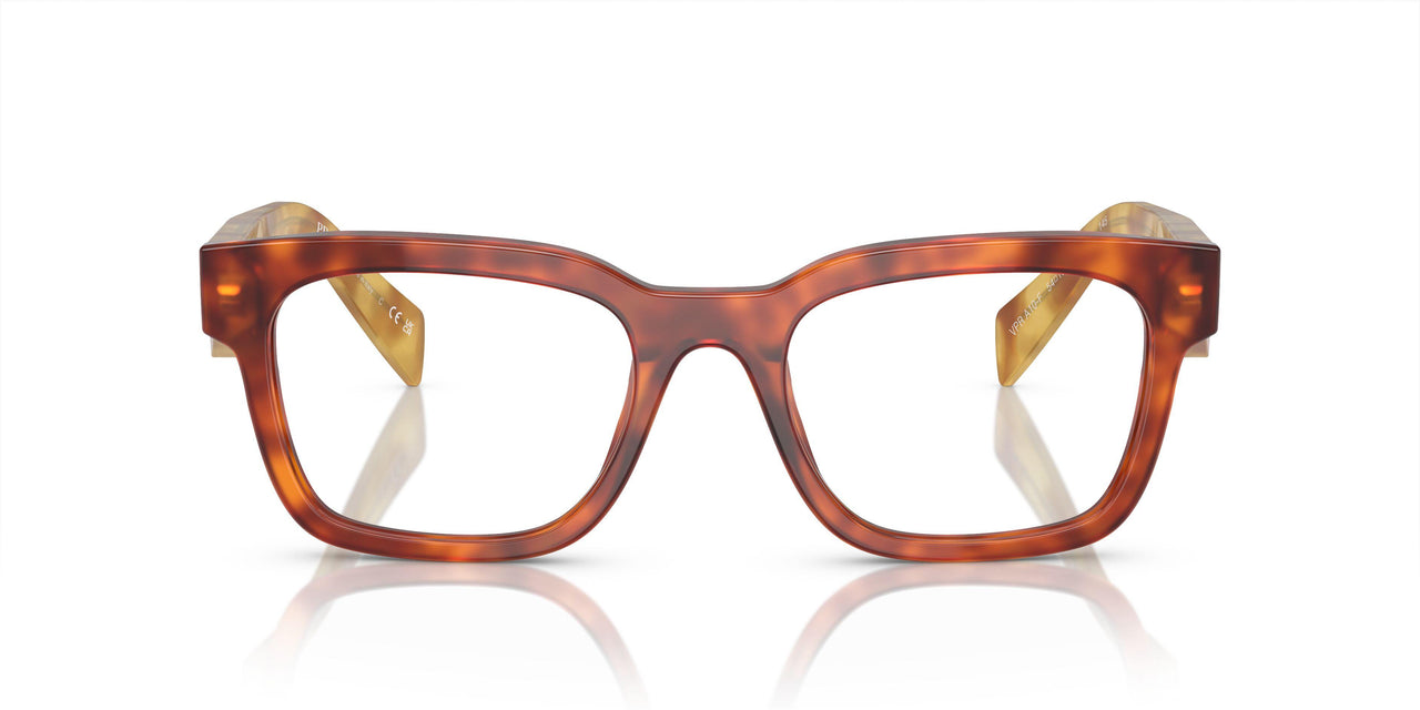 11P1O1 - Brown