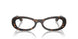 W656 - Brown