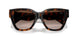 300213 - Brown - Brown Gradient